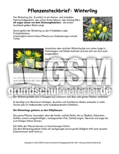 Steckbrief-Winterling.pdf